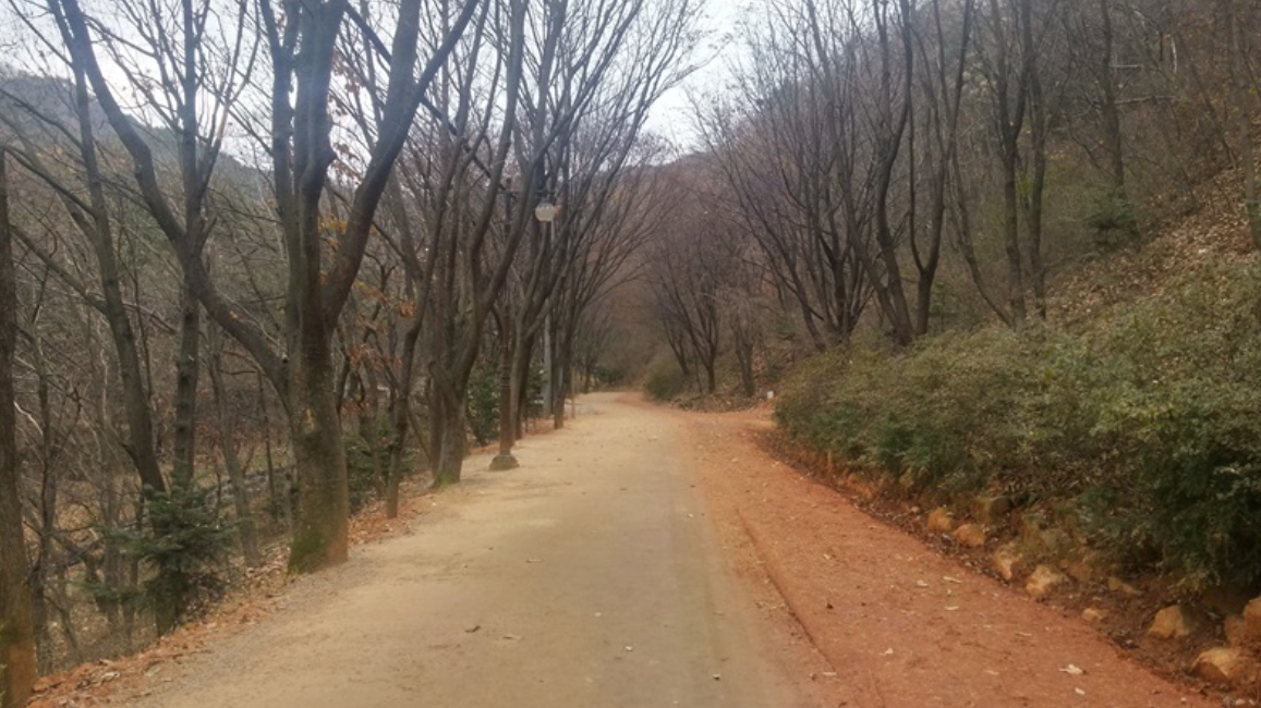 대전 여행 추천