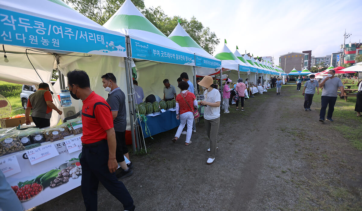 부여서동연꽃축제