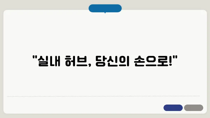 실내에서 키우기 쉬운 허브 추천