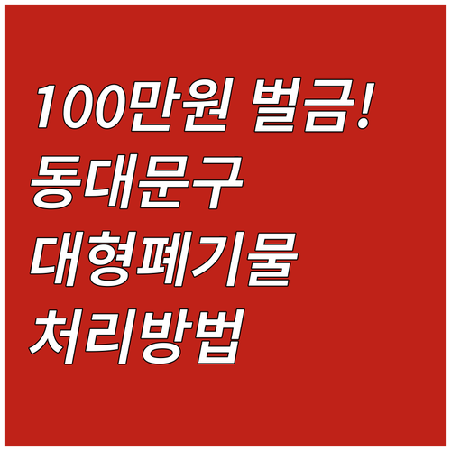 이것 모르면 100만원 벌금! 동대문..