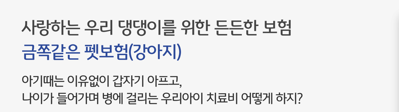 펫보험 ❘ 종류 ❘ 비교 ❘ 베스트 2 추천