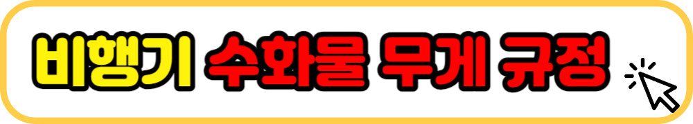 비행기 수화물 무게 규정 확인하기