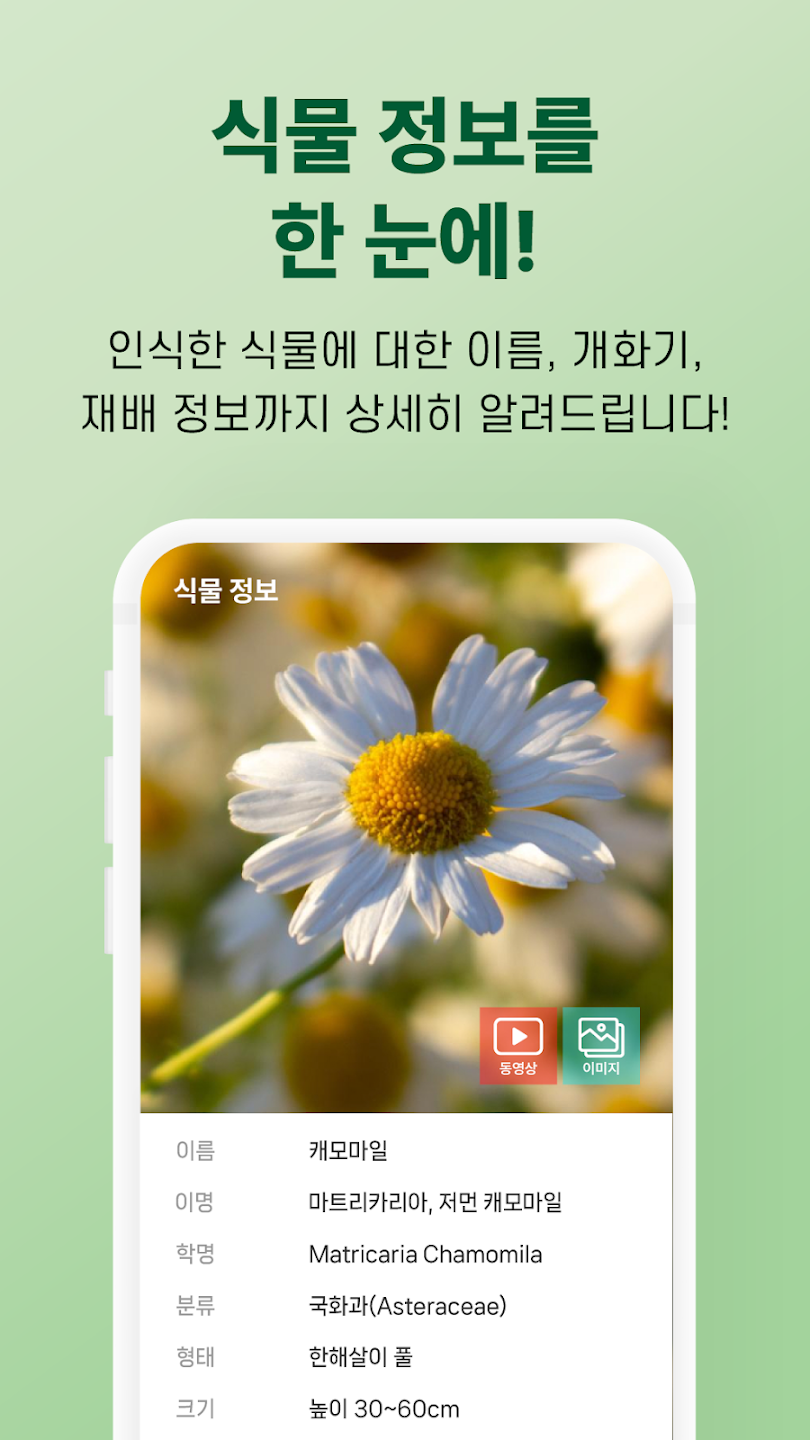 왓캠 어플