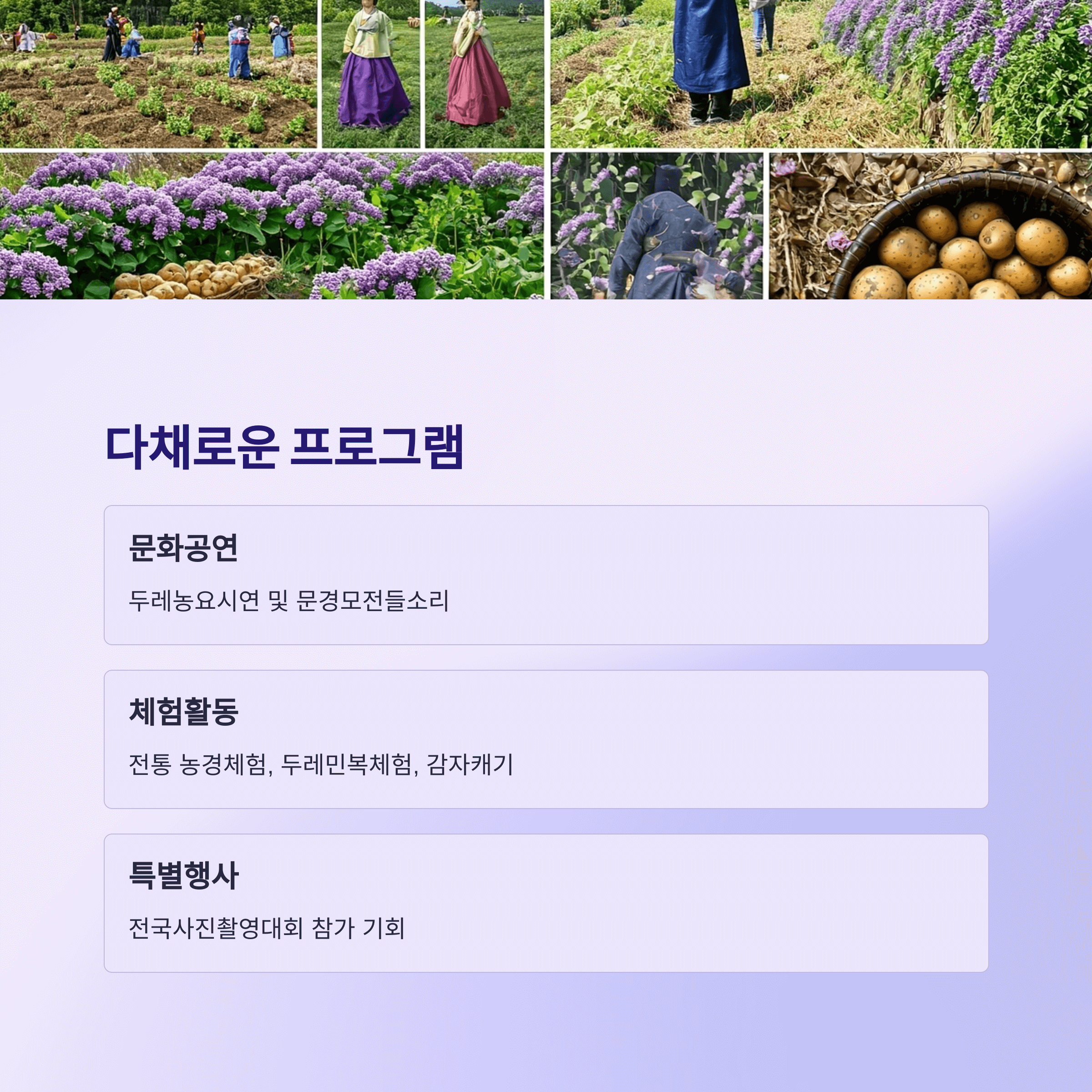 다채로운 프로그램