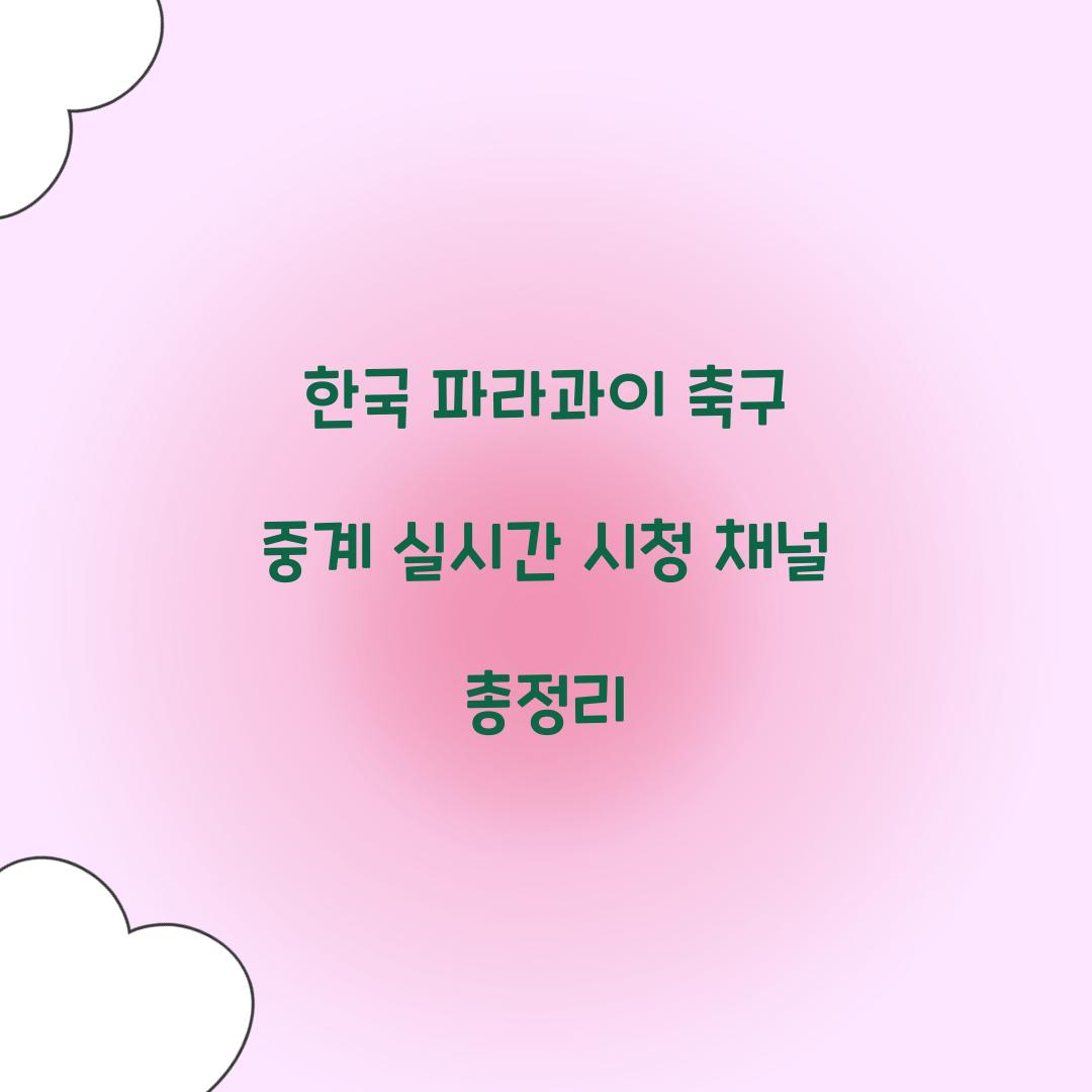 한국 파라과이 축구 중계