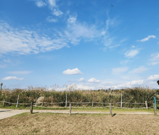 서울-하늘공원-억새축제-가는길.주차.일정안내-사진명소-사진맛집-총정리