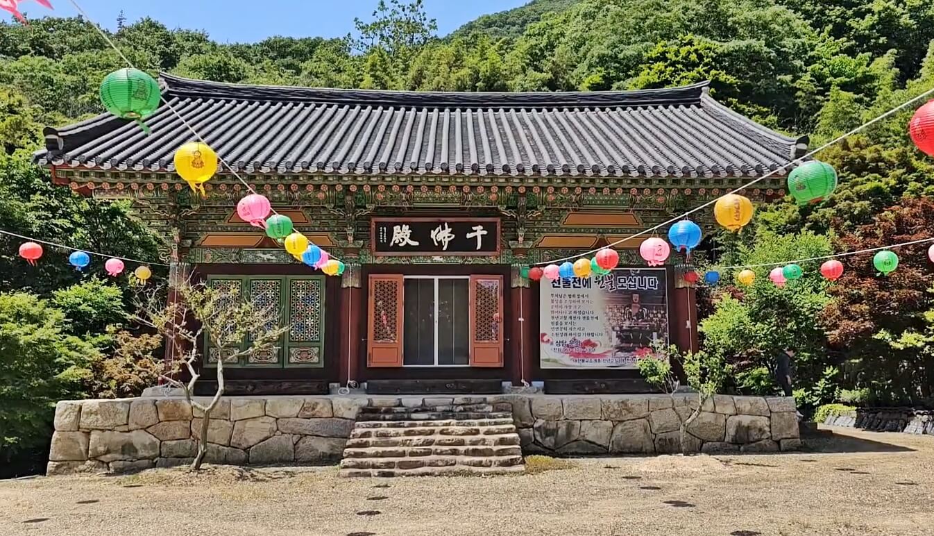 개천사-비자나무숲