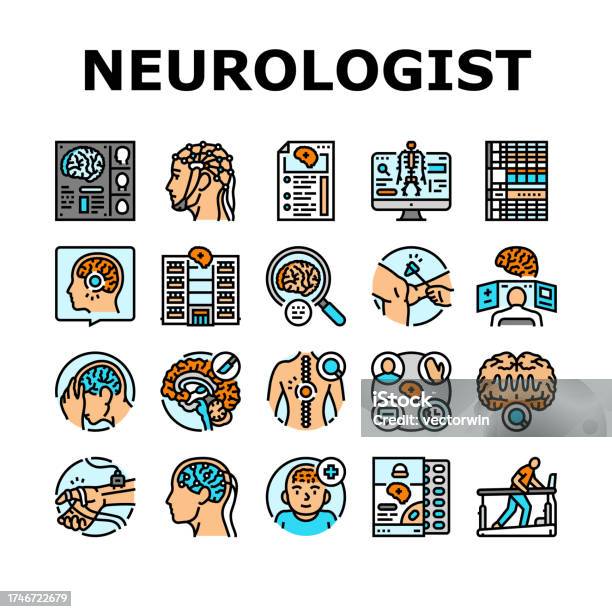 신경과학의 원리와 구조