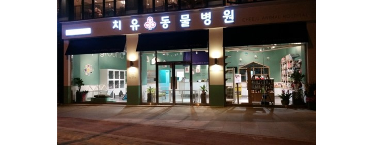 광주 광산구 동물병원