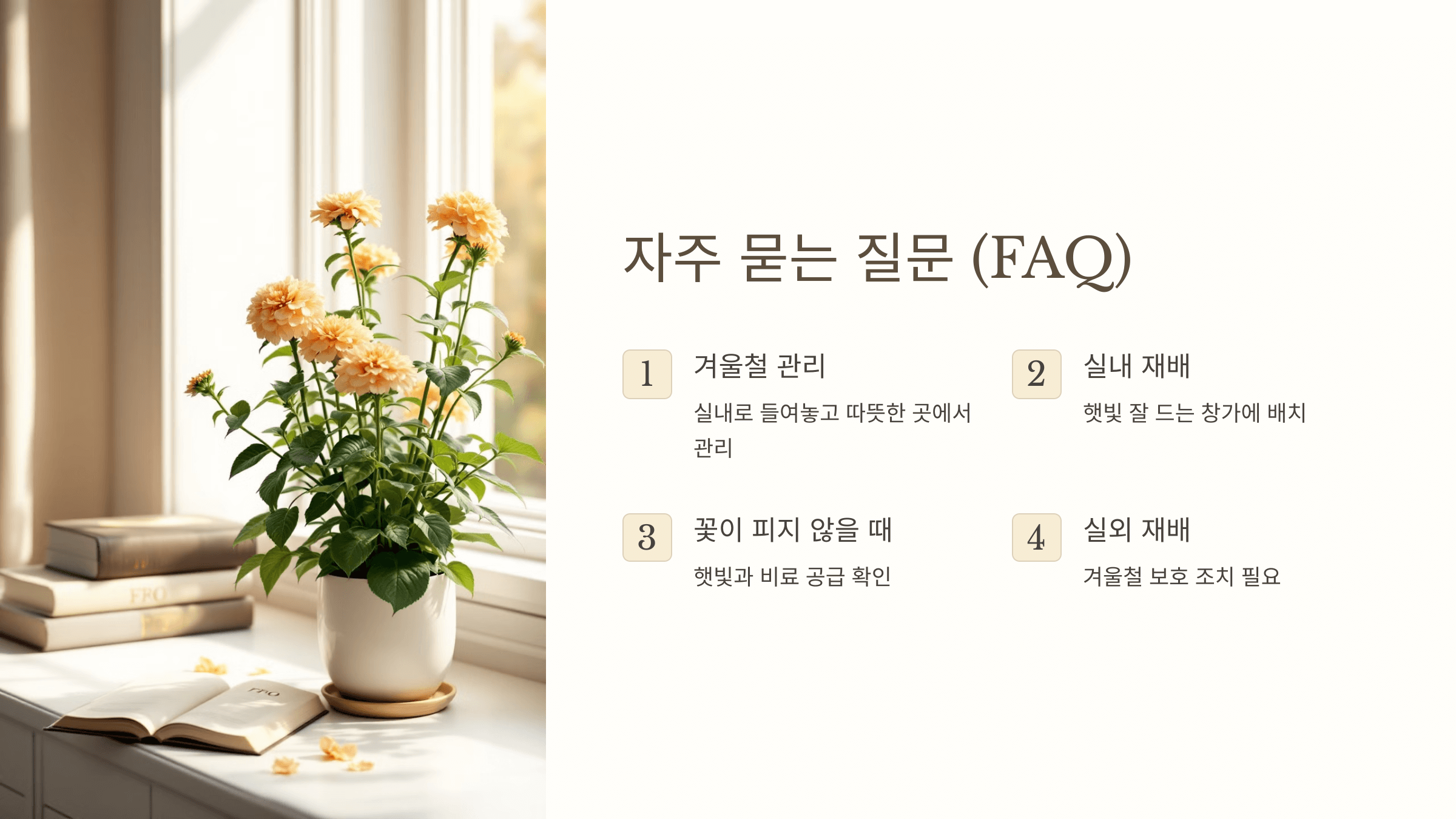 란타나와 관련된 사진입니다.