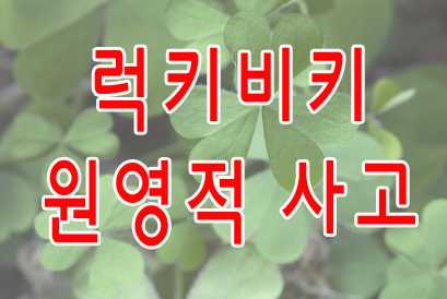 럭키비키 원영적 사고