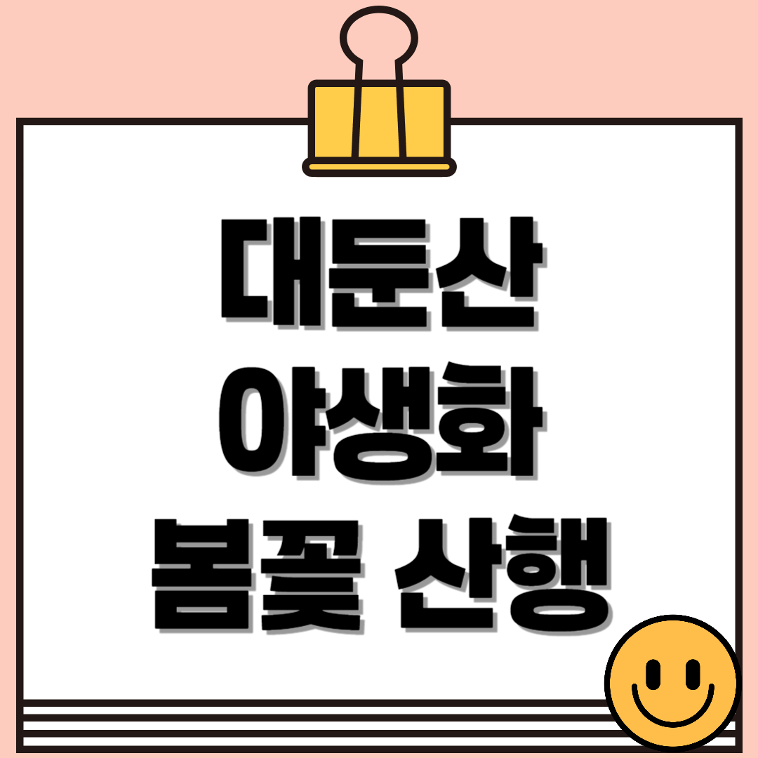 대둔산 야생화 봄꽃 산행🌸 대둔산 봄 등산코스 총정리