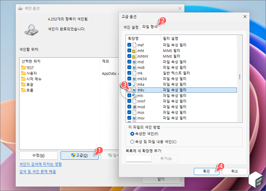 고급 옵션 > 색인 파일 형식 지정