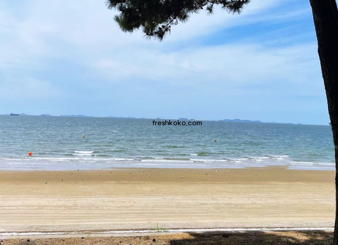 보령 가볼만한곳