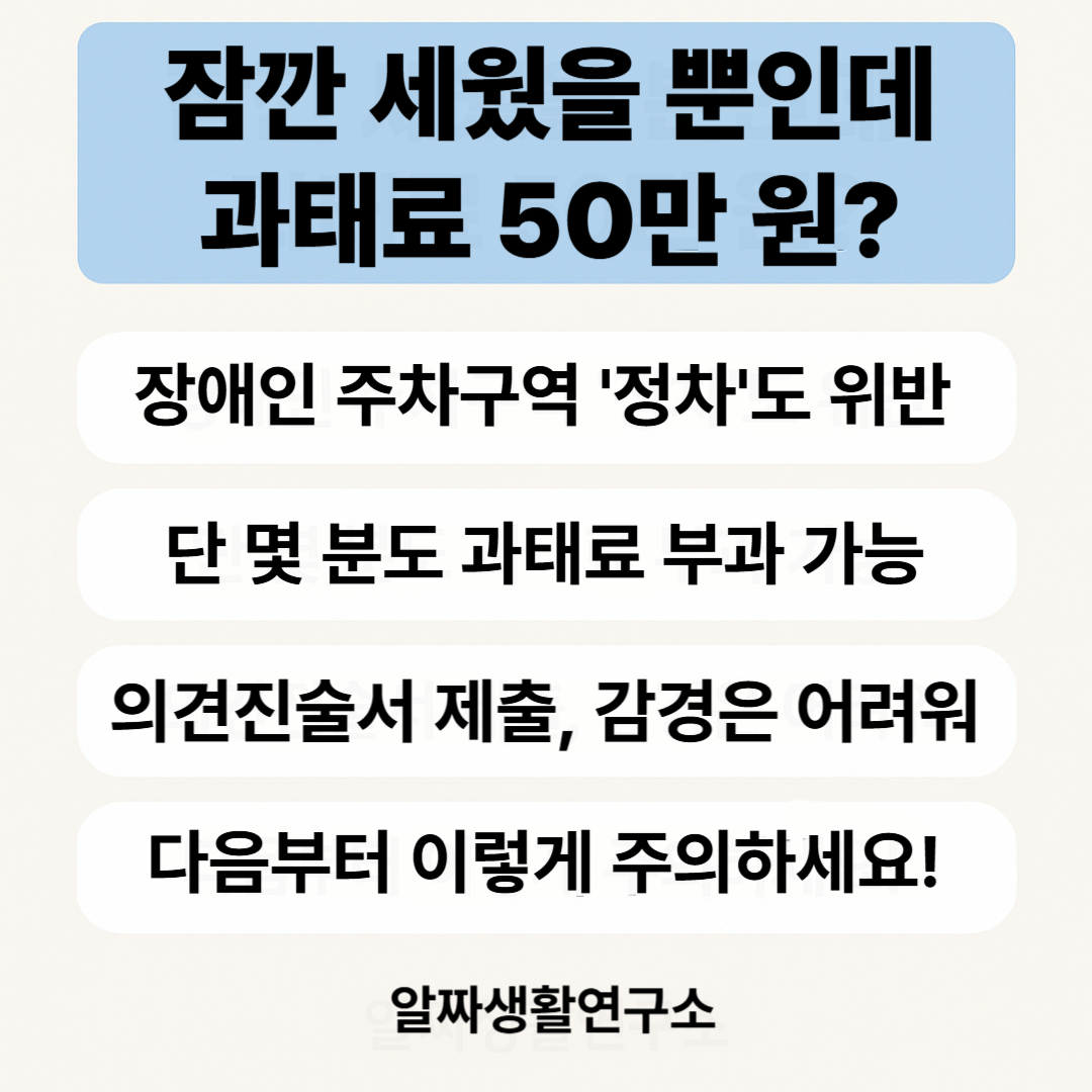 장애인주차구역 주차방해2