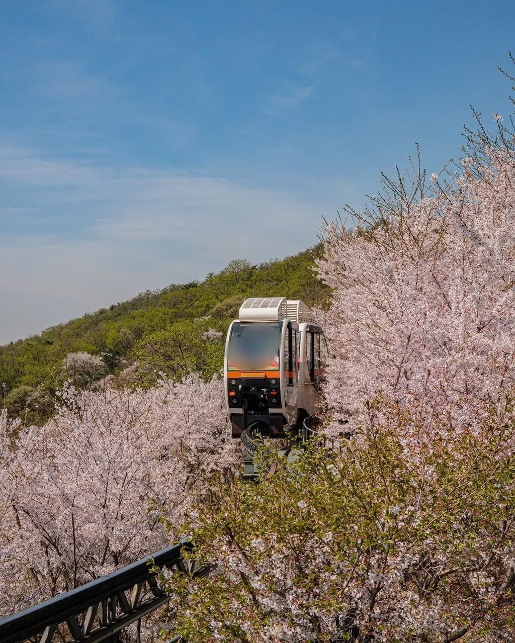 화담숲 모노레일 예약하러 가기