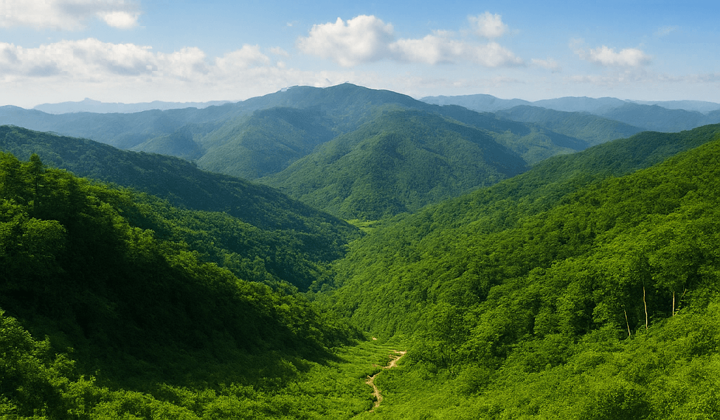 8월 태백의 여름 여행, 자연과 시원한 피서지의 매력 속으로 떠나다