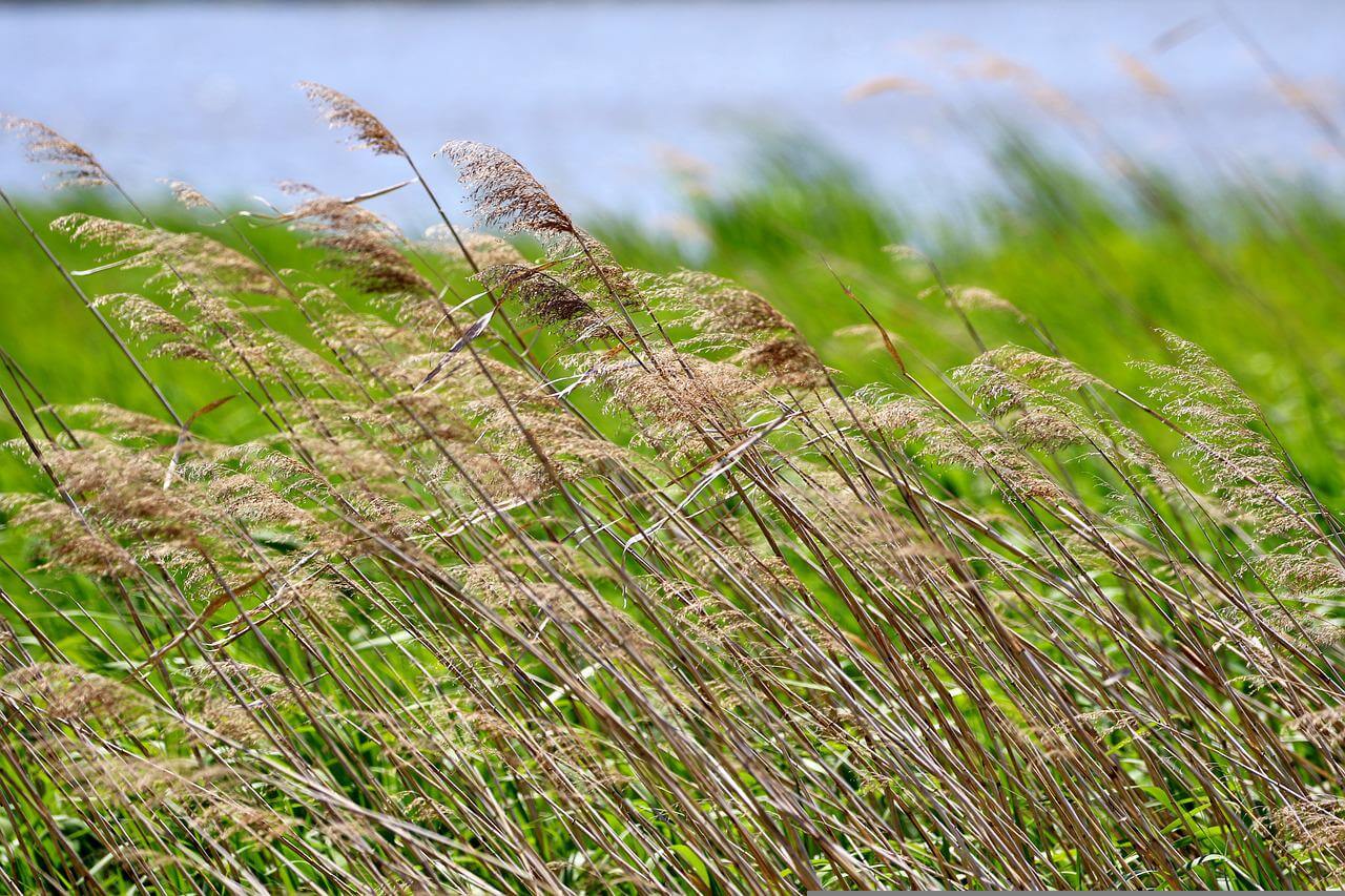 정선억새꽃트레킹왕복셔틀