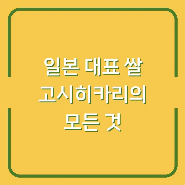 일본 대표 쌀 고시히카리의 모든 것
