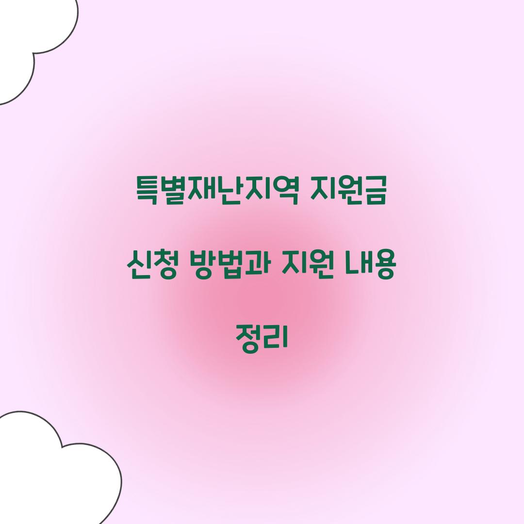 특별재난지역 지원금