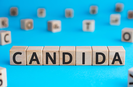 칸디다가-써있는-블록