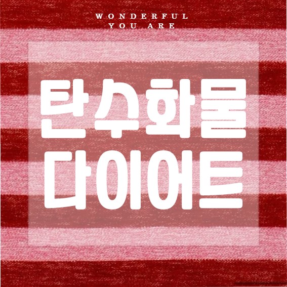 탄수화물 다이어트 완벽 정리: 식단, 도시락, 부작용까지