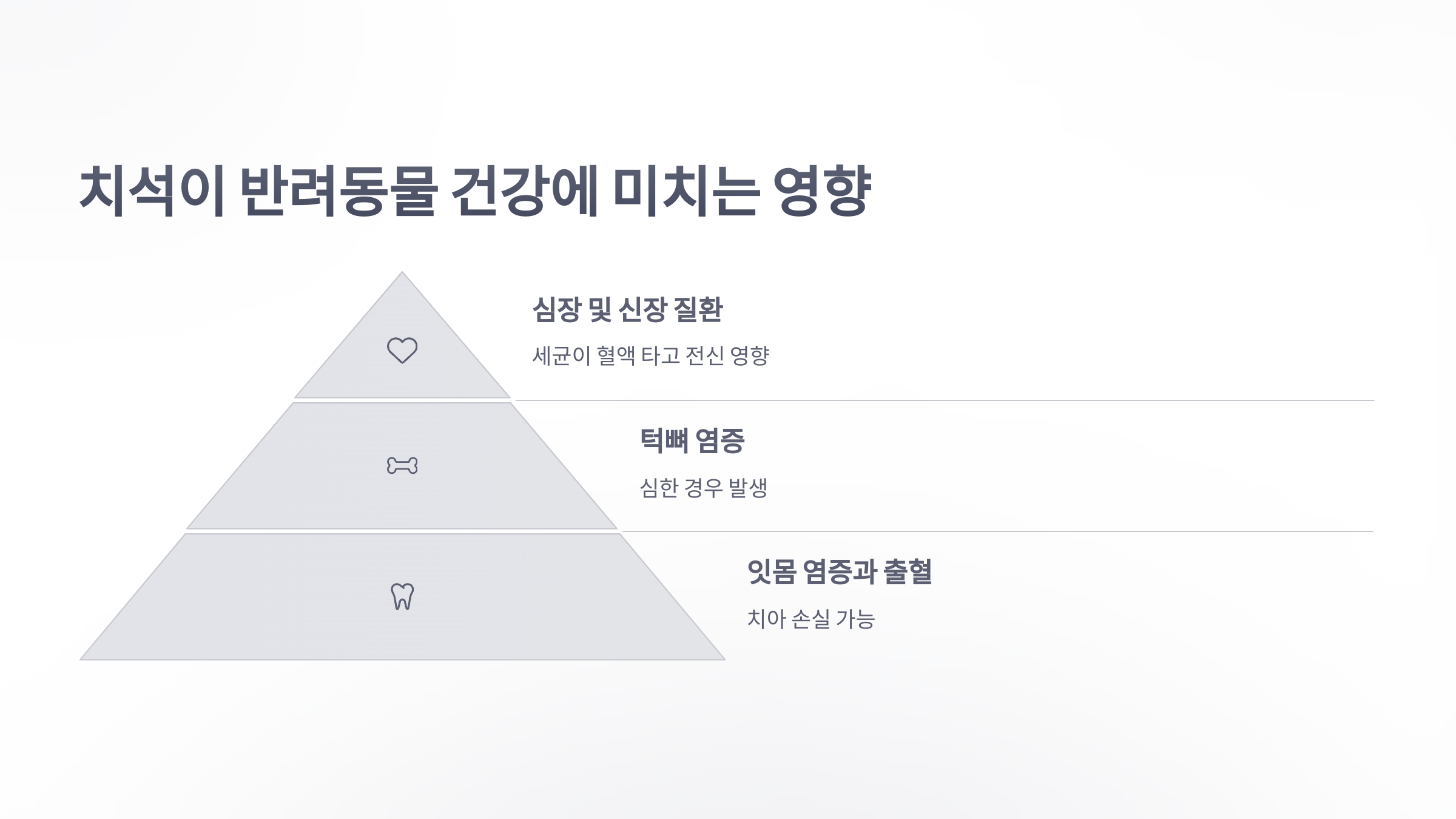 참조-반려동물-치석제거-3