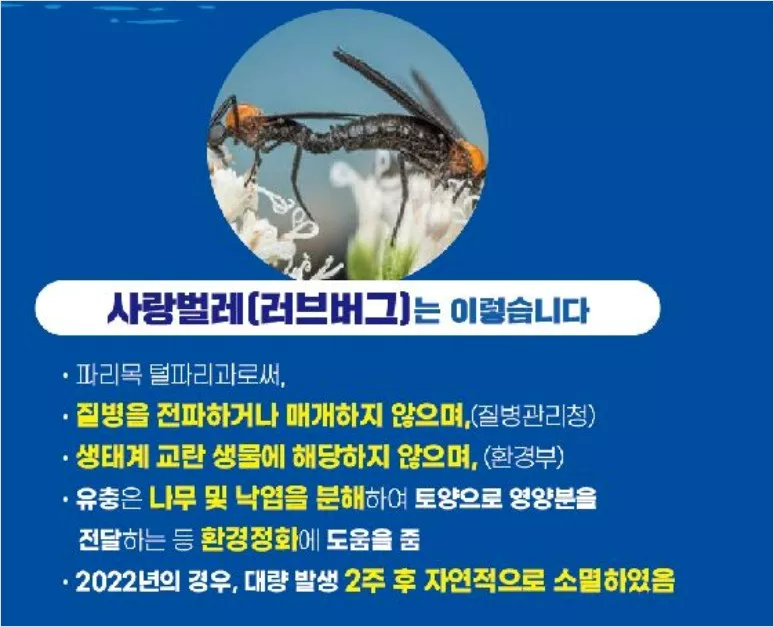 러브버그 무엇인가 내용 설명 화면