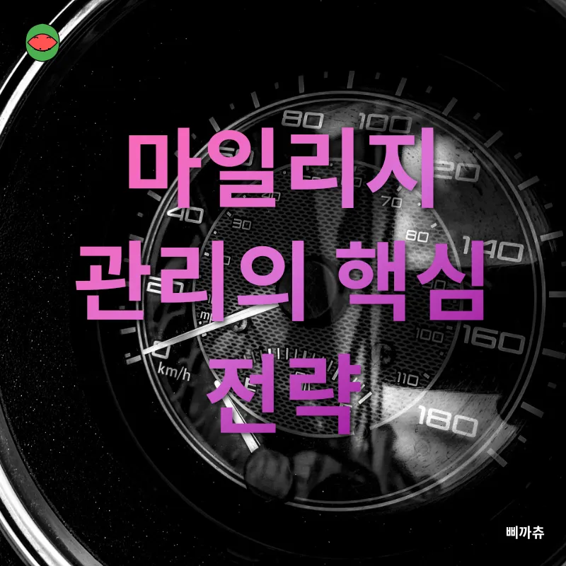마일리지 관리_1