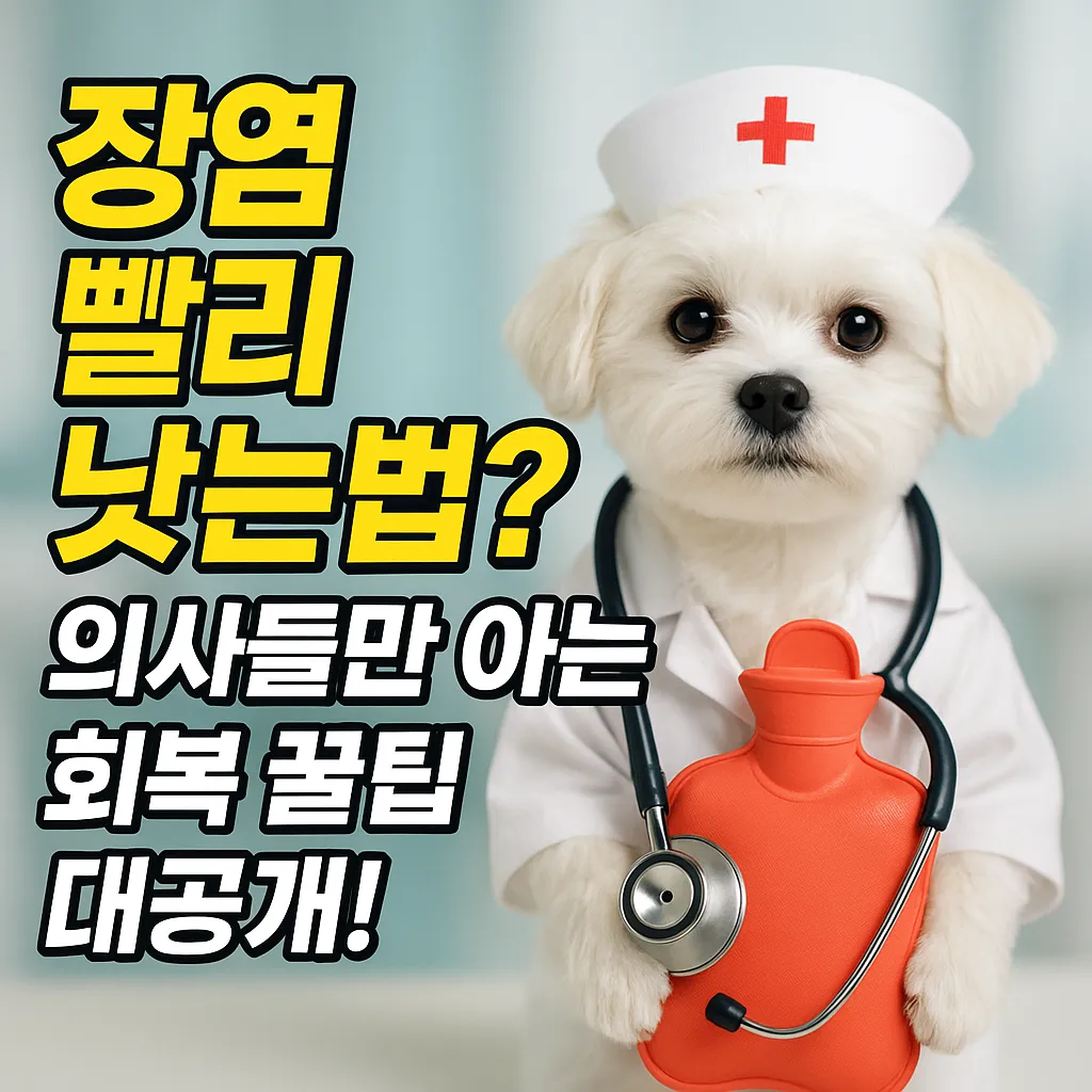 장염 빨리 낫는법? 의사들만 아는 회복 꿀팁 대공개!