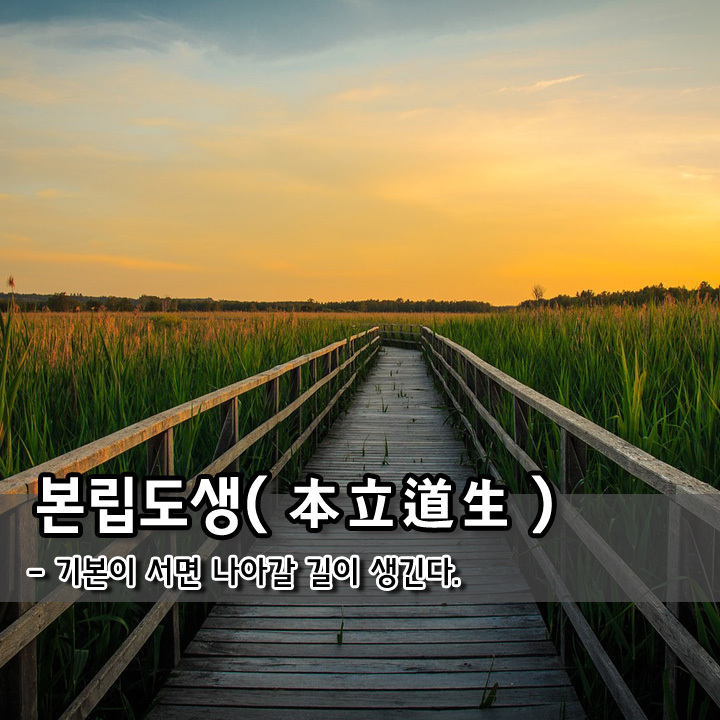 하브루타는 본립도생의 자세로... 기본이 서면 나아갈 길이 생길 것이다. 사진이미지