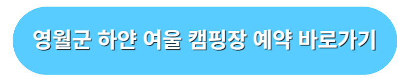 영월군 하얀 여울 야영장 예약 바로가기