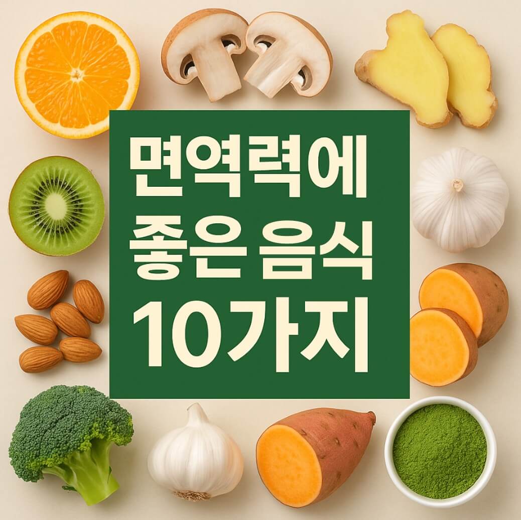 면역력에 좋은 음식 10가지