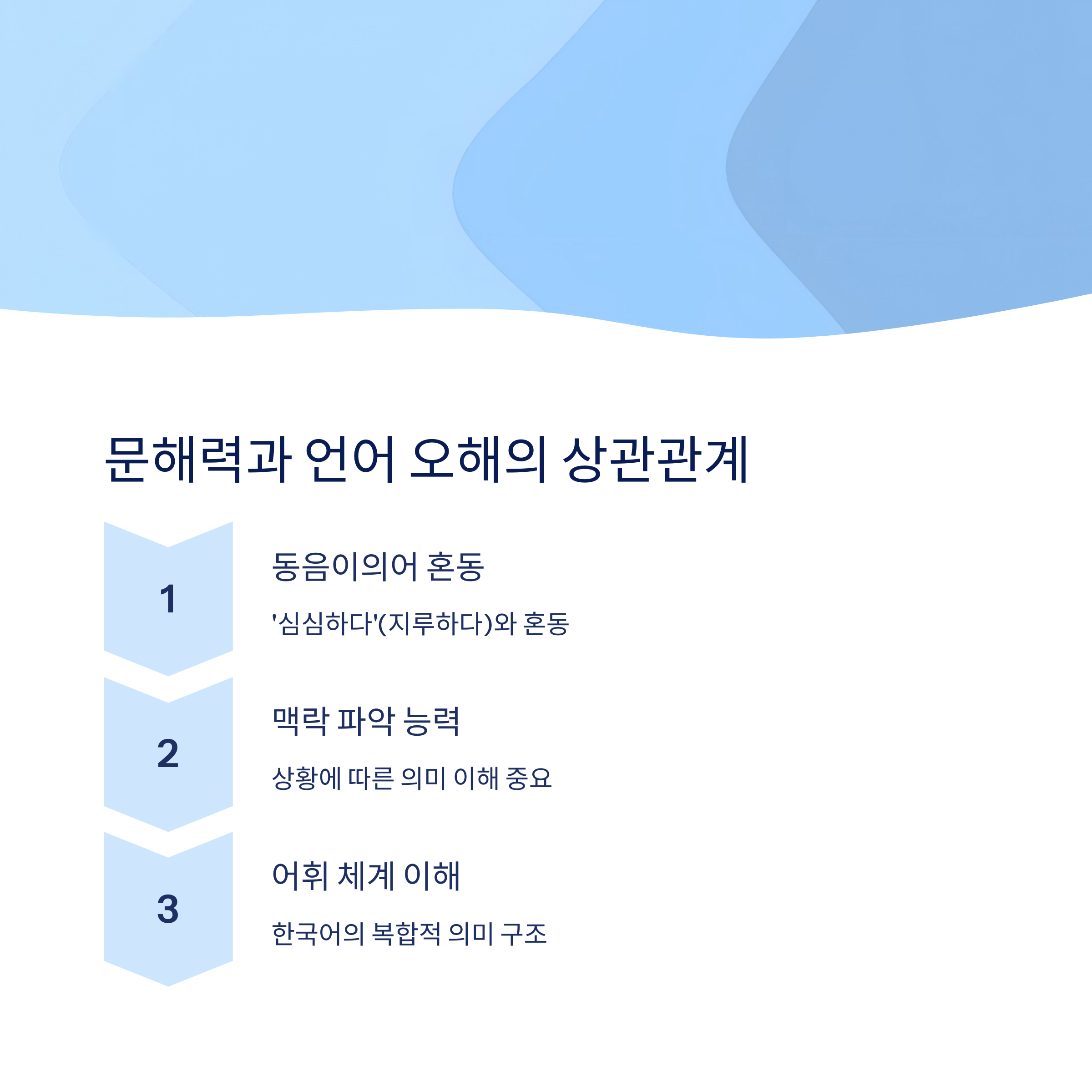 언어 오해와 문해력의 상관관계