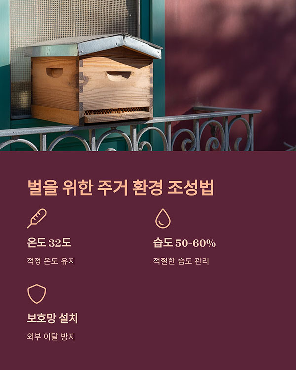 벌을 위한 주거 환경, 어떻게 만들까?