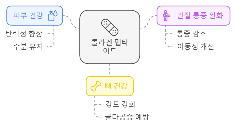 콜라겐 이점