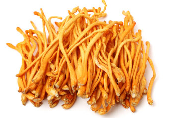 피로회복에 좋은 돈태반