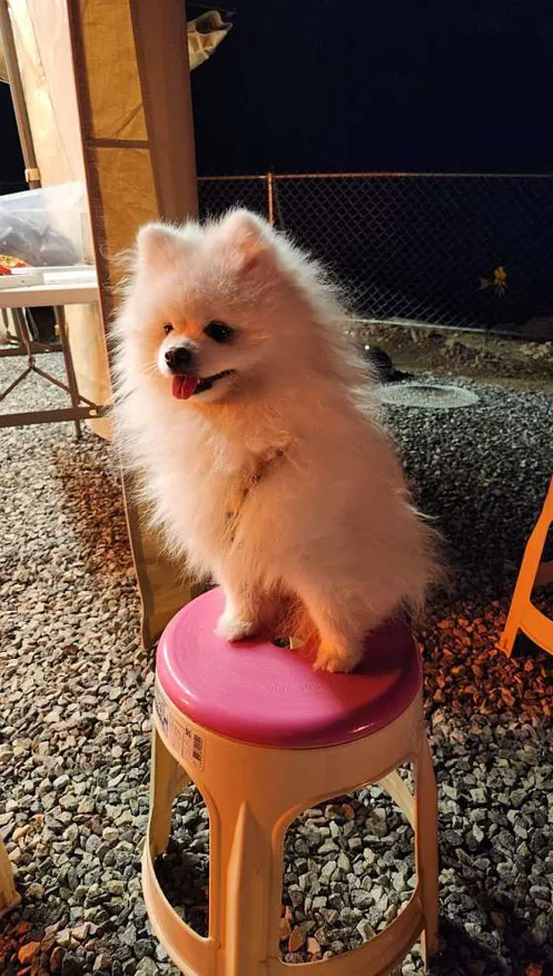 횡성호