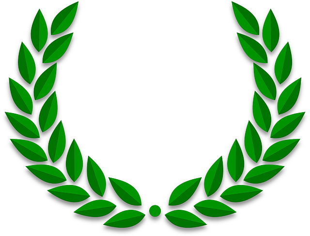 올림픽 종목 정리와 주요경기
하계올림픽,동계올림픽