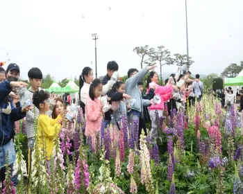 함평 나비축제_5