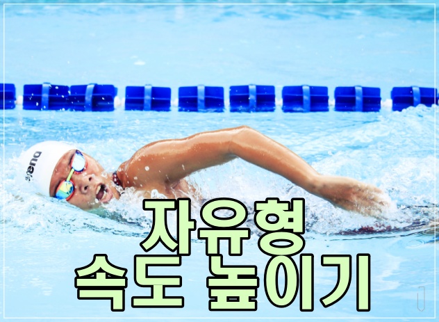 자유형-속도높이기-속도