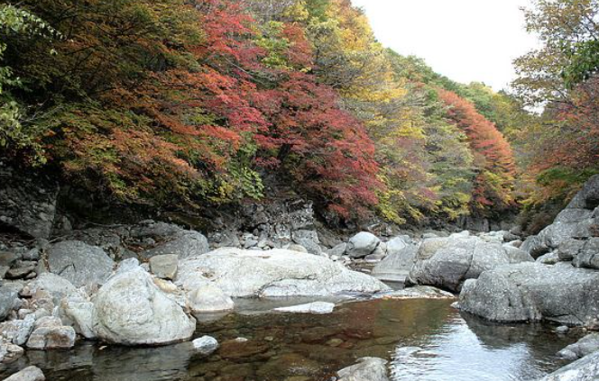 2025 지리산 단풍 절정 시기 &amp; 실시간 현황 + 인기 등산코스 총정리