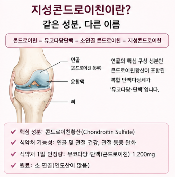 지성콘드로이친-효과-후기-소연골-함량-성분-차이-가격-최저가
