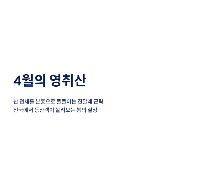 여수 근교 산책 달리기 트레킹 코스 추천 | 바다와 숲을 동시에 즐기는 방법