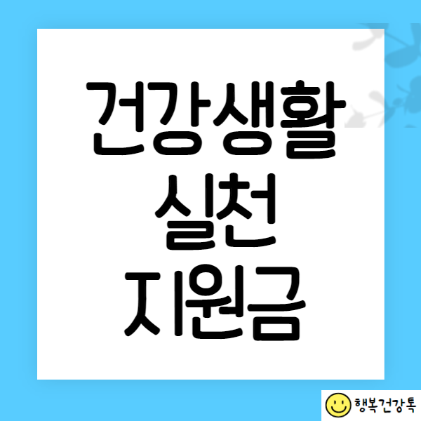 건강생활실천 지원금
