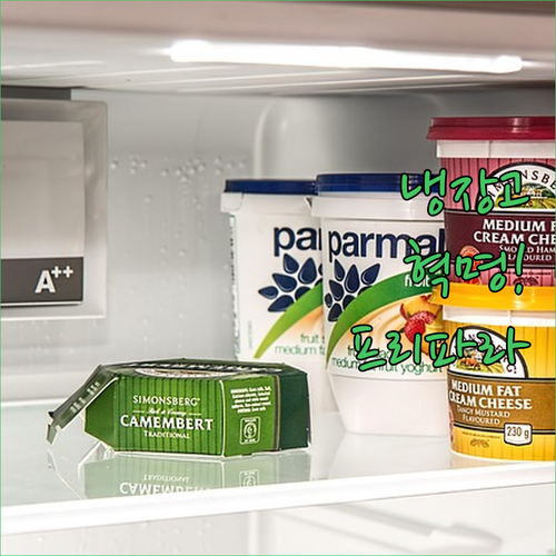 트라이탄 소재 프리파라 브루클린 냉장..