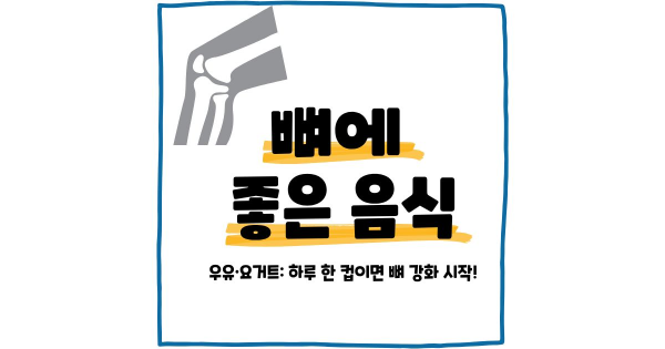 뼈에 좋은 음식