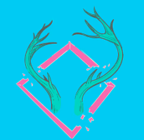 녹용 효능 부작용, 녹용 먹을 때 주의점, 녹용가격