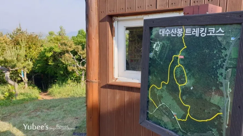 올레길 가는 길