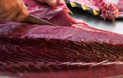 방어 부시리 구별법